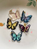 flutter fly